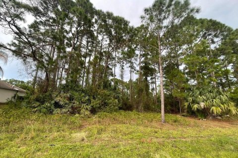 Купить земельный участок в Палм-Бей, Флорида № 1074948 - фото 1