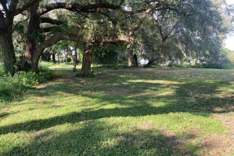 Terreno en venta en Auburndale, Florida № 1379202 - foto 3