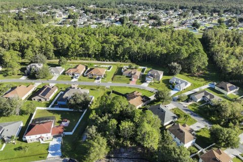 Terreno en venta en Kissimmee, Florida № 1381198 - foto 2