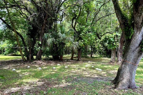 Terreno en venta en South Miami, Florida № 1328257 - foto 7