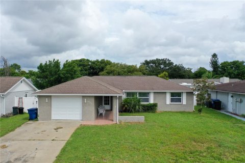 Villa ou maison à vendre à Port Richey, Floride: 2 chambres, 124.49 m2 № 1388383 - photo 1