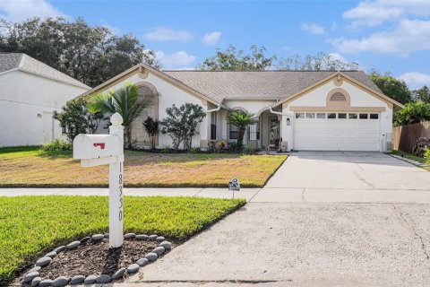 Villa ou maison à vendre à Tampa, Floride: 4 chambres, 220.18 m2 № 1342194 - photo 1