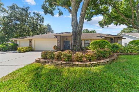 Villa ou maison à vendre à Odessa, Floride: 4 chambres, 255.57 m2 № 1379451 - photo 1