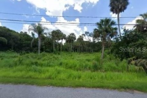 Terreno en venta en Tampa, Florida № 1338035 - foto 1