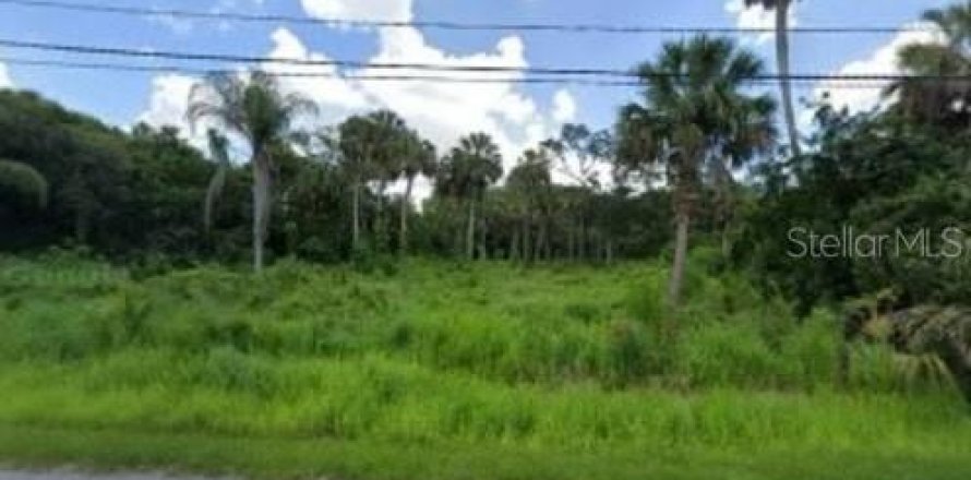 Terreno en Tampa, Florida № 1338035