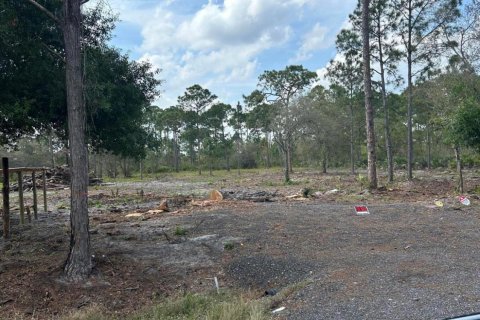 Купить земельный участок в Клуистон, Флорида № 1073596 - фото 4