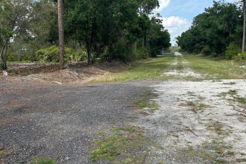Terreno en venta en Clewiston, Florida № 1073596 - foto 9