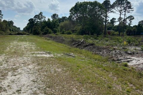 Terrain à vendre à Clewiston, Floride № 1073596 - photo 2