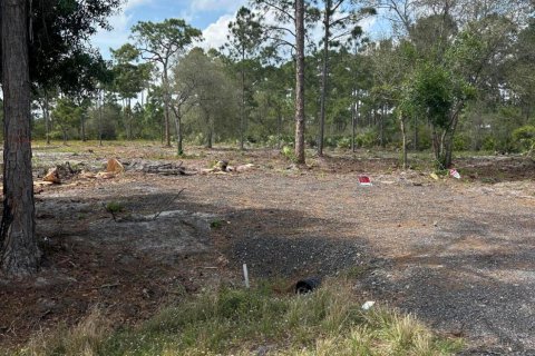 Terrain à vendre à Clewiston, Floride № 1073596 - photo 8