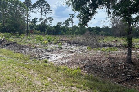 Terreno en venta en Clewiston, Florida № 1073596 - foto 3