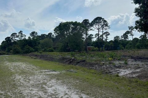 Terrain à vendre à Clewiston, Floride № 1073596 - photo 5