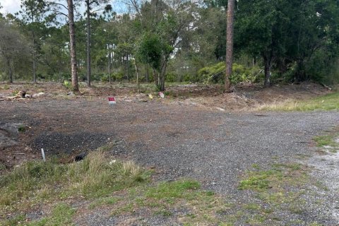 Terrain à vendre à Clewiston, Floride № 1073596 - photo 10