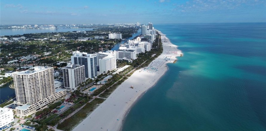 Studio à Condo à Miami Beach, Floride  № 1356871