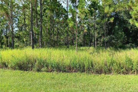 Terreno en venta en Sebring, Florida № 1341073 - foto 1