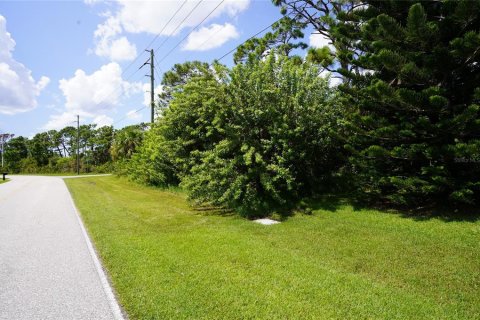 Land in Port Charlotte, Florida № 1376937 - photo 5