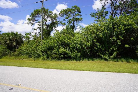 Land in Port Charlotte, Florida № 1376937 - photo 2