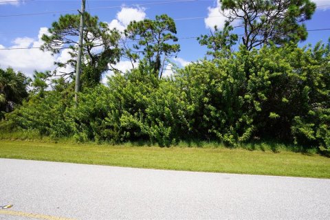 Land in Port Charlotte, Florida № 1376937 - photo 1