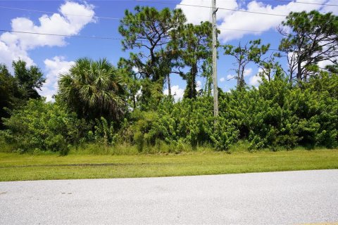 Terrain à vendre à Port Charlotte, Floride № 1376937 - photo 6