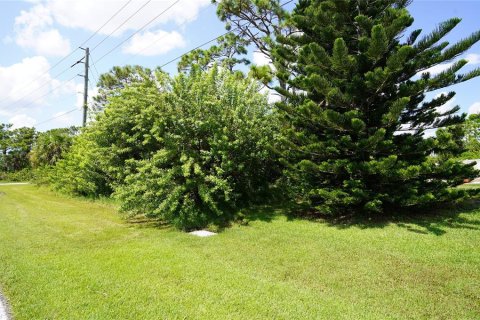 Terreno en venta en Port Charlotte, Florida № 1376937 - foto 3