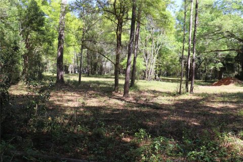 Terrain à vendre à Ocala, Floride № 1062516 - photo 6