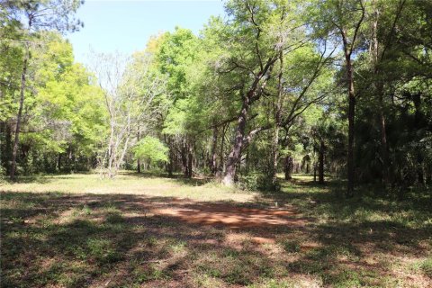 Terrain à vendre à Ocala, Floride № 1062516 - photo 7