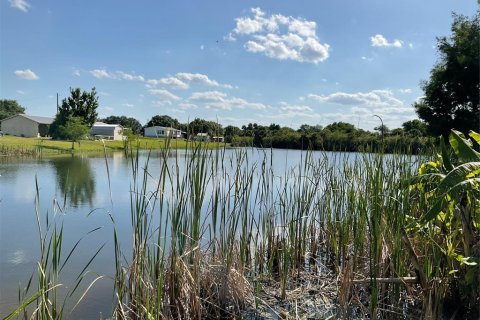 Land in Moore Haven, Florida № 1164331 - photo 7