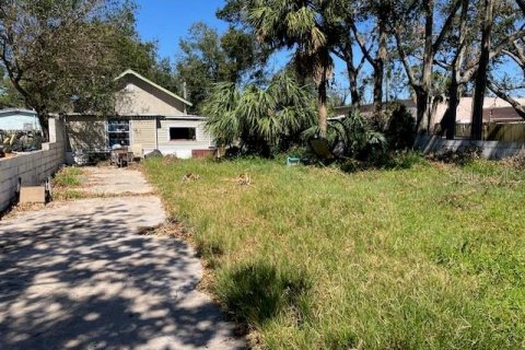 Terreno en venta en Saint Petersburg, Florida № 1431958 - foto 8