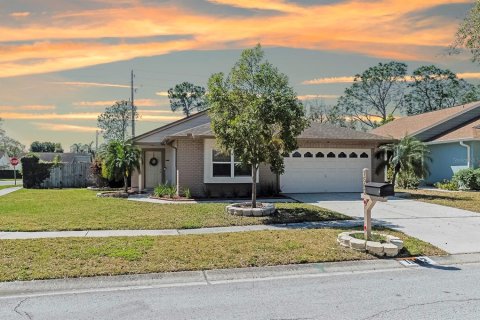 Villa ou maison à vendre à Brandon, Floride: 2 chambres, 130.99 m2 № 1051882 - photo 1
