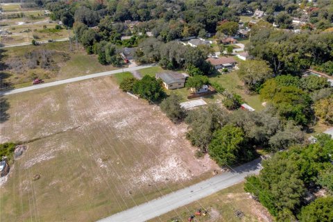 Land in DeBary, Florida № 1285408 - photo 5