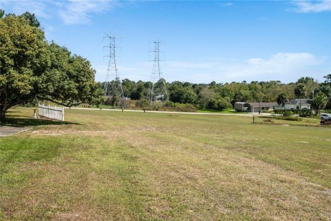 Land in DeBary, Florida № 1285408 - photo 9