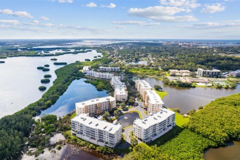 Condominio en venta en Saint Petersburg, Florida, 2 dormitorios, 111.02 m2 № 1403929 - foto 25