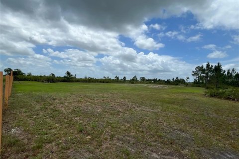 Land in Okeechobee, Florida № 1246616 - photo 6