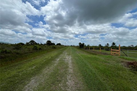 Land in Okeechobee, Florida № 1246616 - photo 3