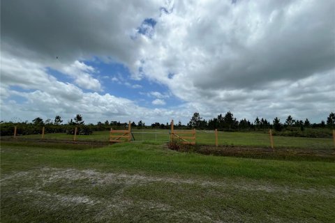 Land in Okeechobee, Florida № 1246616 - photo 1