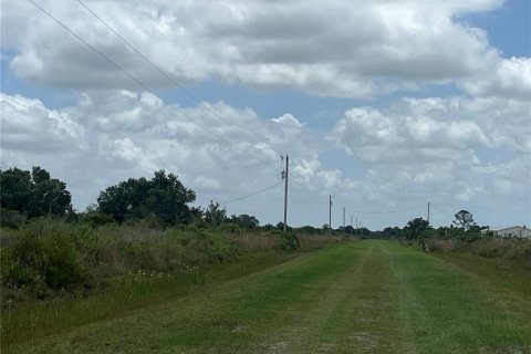 Land in Okeechobee, Florida № 1246616 - photo 4