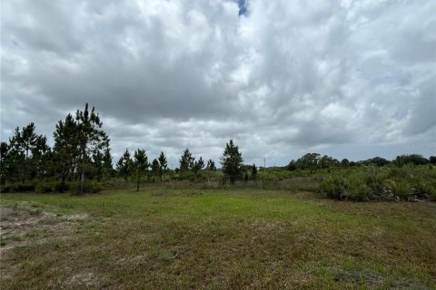 Land in Okeechobee, Florida № 1246616 - photo 8