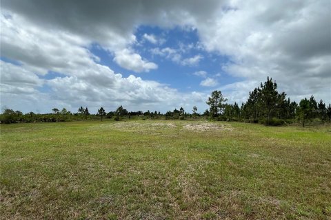 Land in Okeechobee, Florida № 1246616 - photo 7