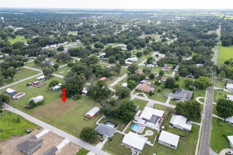 Land in Fort Meade, Florida № 1299311 - photo 5