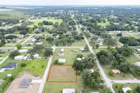 Land in Fort Meade, Florida № 1299311 - photo 3