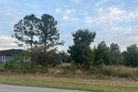 Terreno en venta en Clewiston, Florida № 1073146 - foto 4