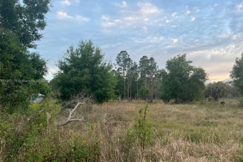 Terrain à vendre à Clewiston, Floride № 1073146 - photo 2