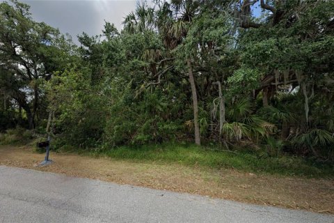 Land in Port Charlotte, Florida № 1248740 - photo 2