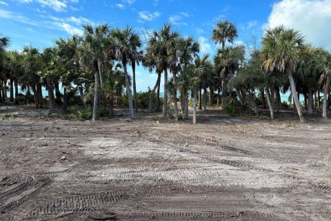 Land in Englewood, Florida № 1284054 - photo 6