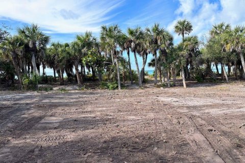 Terreno en venta en Englewood, Florida № 1284054 - foto 10