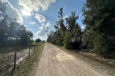 Terrain à vendre à Punta Gorda, Floride № 1061719 - photo 5