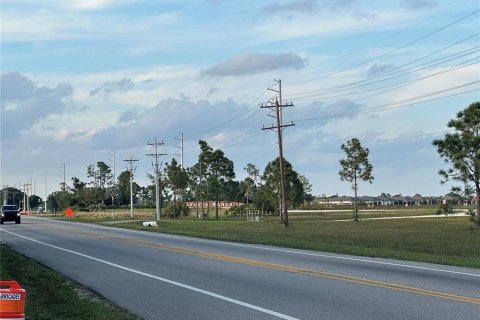 Land in Punta Gorda, Florida № 1061719 - photo 12