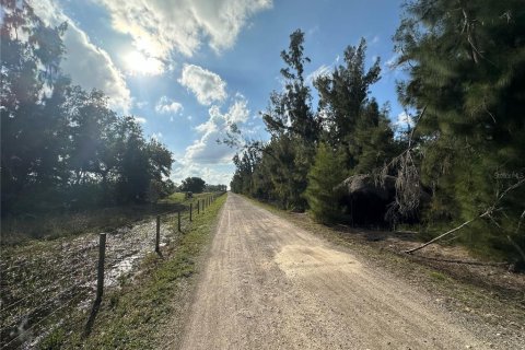 Terrain à vendre à Punta Gorda, Floride № 1061719 - photo 6