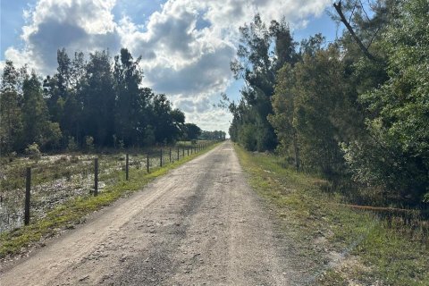 Terrain à vendre à Punta Gorda, Floride № 1061719 - photo 29