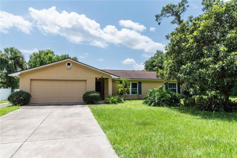 Villa ou maison à vendre à DeLand, Floride: 4 chambres, 150.97 m2 № 1324407 - photo 1