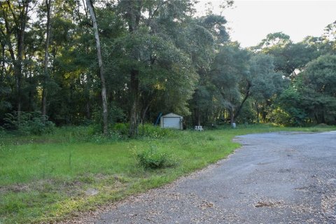 Terreno en venta en Ocala, Florida № 1373528 - foto 10